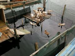 android_upload_pic-君豪蟹都·湖景·农家乐(蟹舫苑店)