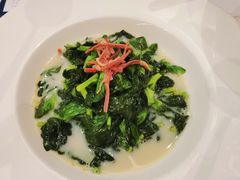 姜汁鱼汤豆苗-百盛·鼎膳(中海财富中心)