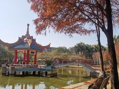 -金砂公园