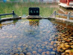 -百脉泉景区