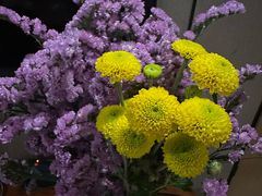 -蔡澜点心·粤菜(海印都荟城店)