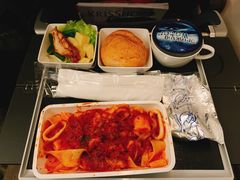 -新加坡航空公司(ION)