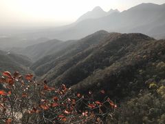 -嵩山少林文化旅游景区