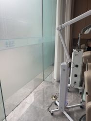 -碧莲盛·不剃发植发