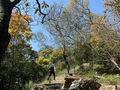 -梧桐山风景名胜区