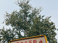-三里屯东五街银杏大道