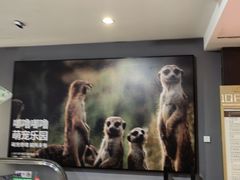 -SFC上影百联影城(八佰伴IMAX店)