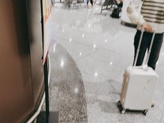 -麦当劳(北京大兴机场二层国内到达(安检外)店)