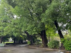 -东京国立博物馆