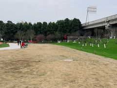 -秀丽东方
