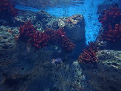-福州罗源湾海洋世界旅游区