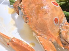 -好伦哥披萨(地坛店)