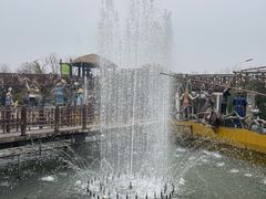 -呀路古热带植物园