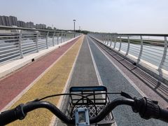 -贡湖湾湿地公园