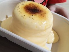 -狐狸和向日葵(北京路店)