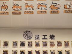-有喵·猫咖·狗咖·30几只猫10只小狗(岗厦店)