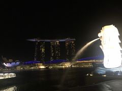 -新加坡丽思卡尔顿美年酒店