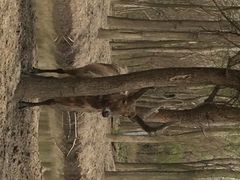 iphone_upload_pic-溱湖国家湿地公园