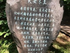 -本溪水洞