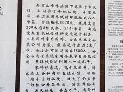 -老君山风景名胜区