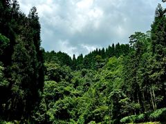 -龙苍沟森林公园