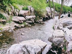 -羊山湖公园