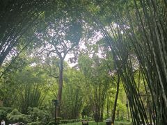 -望江楼公园