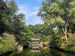 -南山植物园