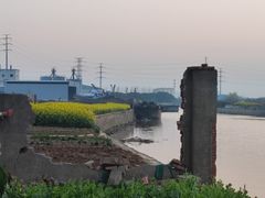 -皇粮浜湿地公园