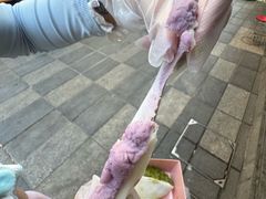 -张果佬年糕卷(科巷店)