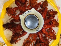 臻品冰镇龙虾-猫先生时尚火锅(桂平路店)