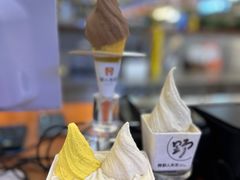 -野人先生Gelato(上海长宁龙之梦店)
