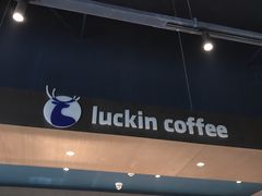-瑞幸咖啡(巴黎春天陕西路店)