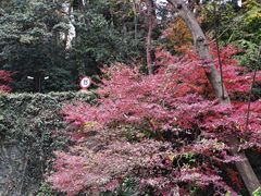 -浙江大学(之江校区)