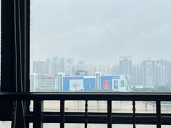 -李子坝梁山鸡(李子坝大鸡哥店)