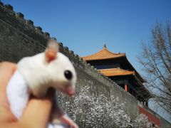 -东华门大街小区