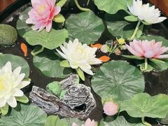 -广东胜利宾馆西关粤中餐厅
