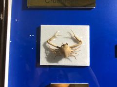 -上海昆虫博物馆