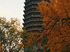 -玲珑塔公园