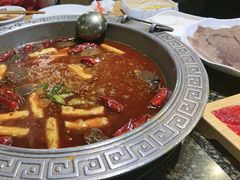 牛油鸳鸯锅-杨肥肠火锅大排档(火车站花园店)
