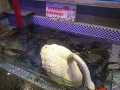 -山河屯铁锅炖鲜鹅·东北菜(开发区一店)