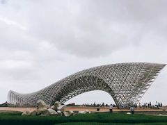 -南汇嘴观海公园