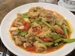 泡椒蹄花-双流老字号董蹄花(广场路店)