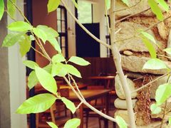 店内环境-梵几(东信·和创园店)