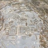 国庆扫街随拍~风响驼铃