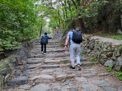 -阳台山自然风景区