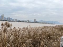 -江心屿景区