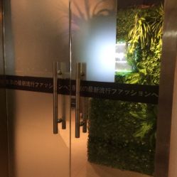 -藤野造型·专业烫染店