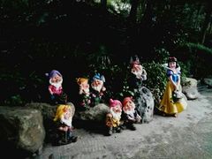 -青城道汤池