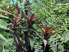 -太平洋海底世界